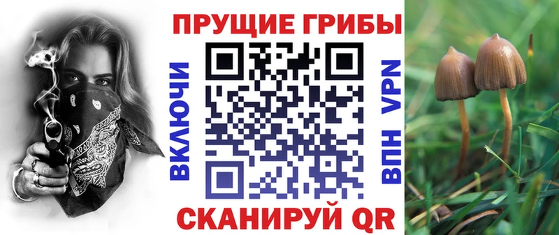 Псилоцибиновые грибы Magic Shrooms  Невель 